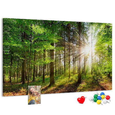 Cork display board Forest sunrise