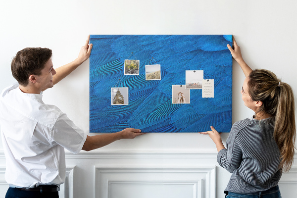 Cork memo board Bird feather