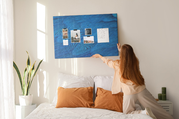 Cork memo board Bird feather