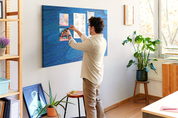 Cork memo board Bird feather