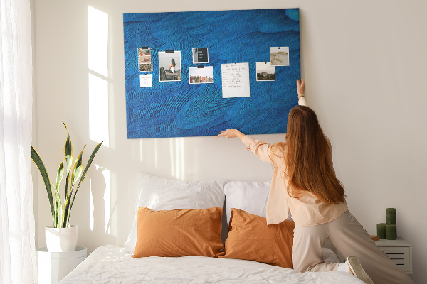 Cork memo board Bird feather