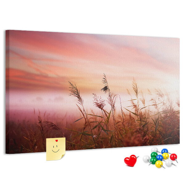 Cork memo board Misty morning