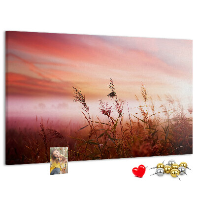 Cork memo board Misty morning