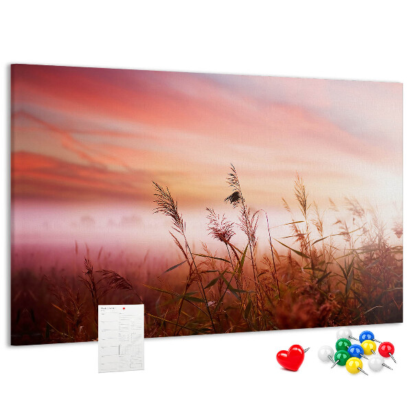 Cork memo board Misty morning