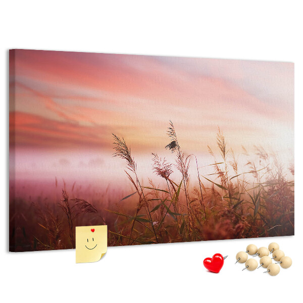 Cork memo board Misty morning