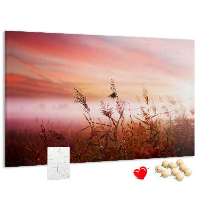 Cork memo board Misty morning