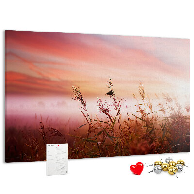 Cork memo board Misty morning