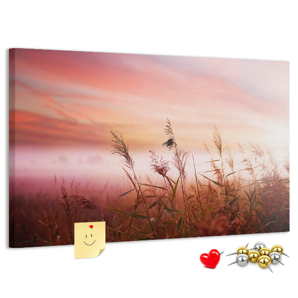 Cork memo board Misty morning