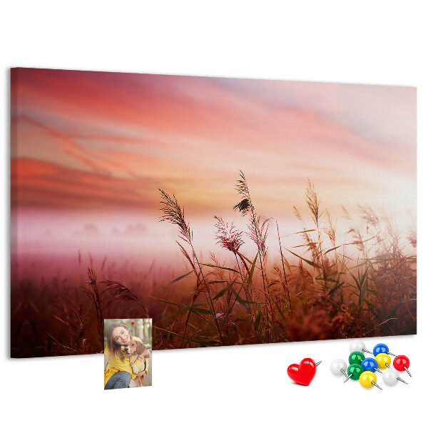 Cork memo board Misty morning