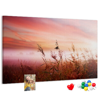 Cork memo board Misty morning