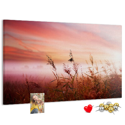 Cork memo board Misty morning