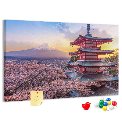 Cork display board Japanese architecture
