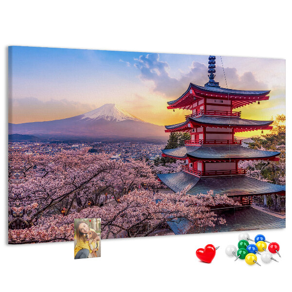 Cork display board Japanese architecture