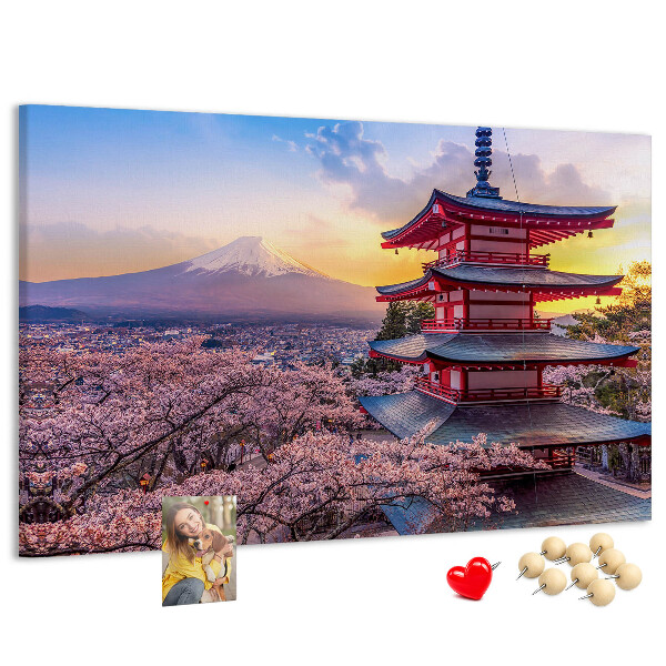 Cork display board Japanese architecture