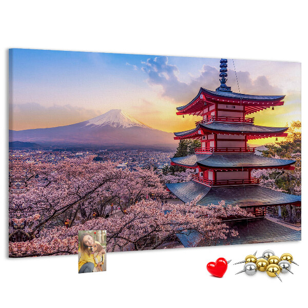 Cork display board Japanese architecture