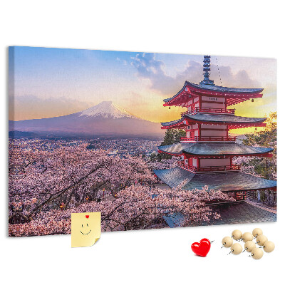 Cork display board Japanese architecture