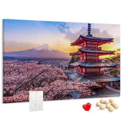 Cork display board Japanese architecture