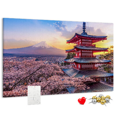 Cork display board Japanese architecture