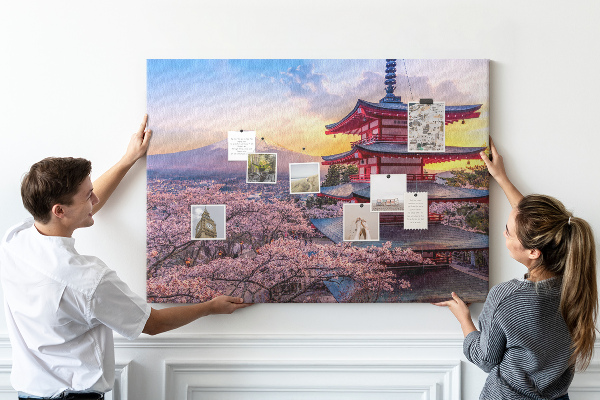 Cork display board Japanese architecture