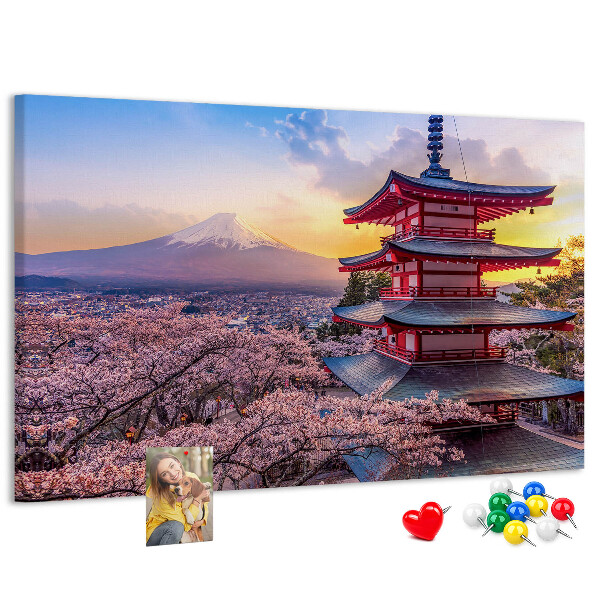 Cork display board Japanese architecture