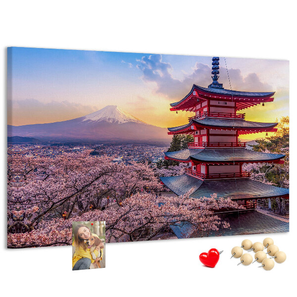 Cork display board Japanese architecture