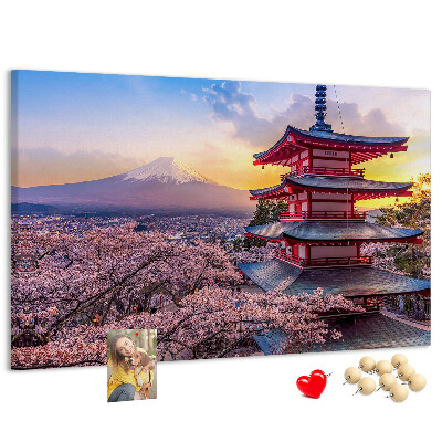 Cork display board Japanese architecture