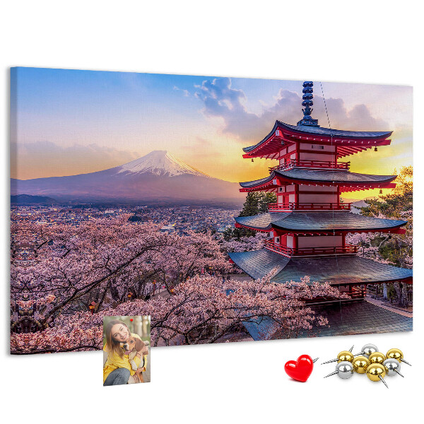 Cork display board Japanese architecture