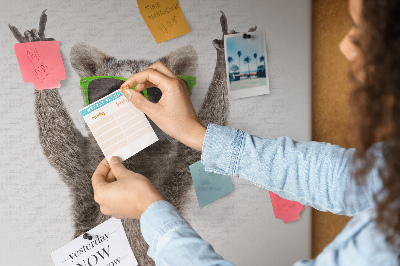 Cork memo board Raccoon wearing glasses