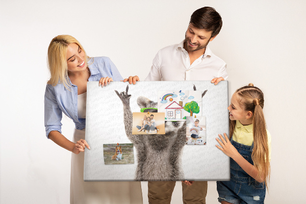Cork memo board Raccoon wearing glasses