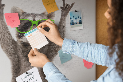 Cork memo board Raccoon wearing glasses
