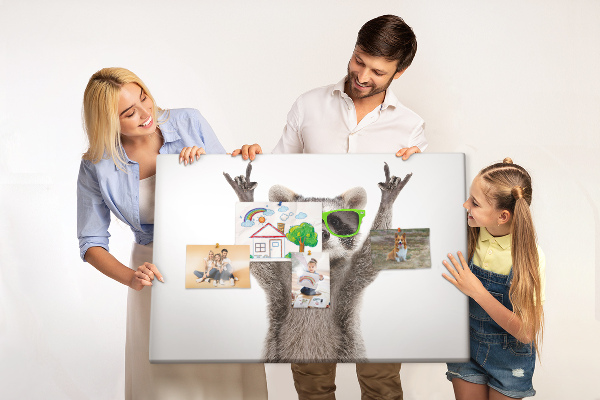 Cork memo board Raccoon wearing glasses