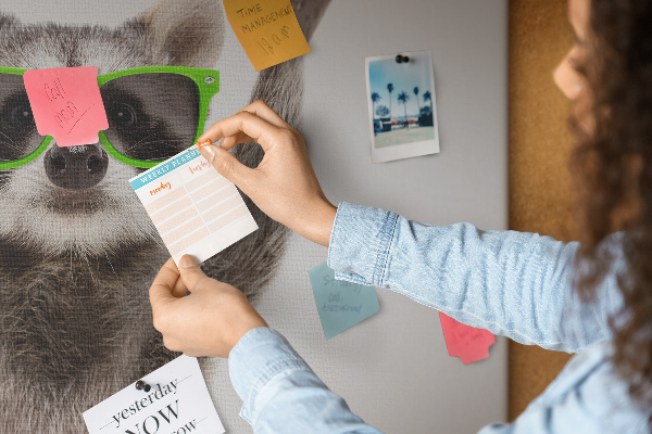 Cork memo board Raccoon wearing glasses