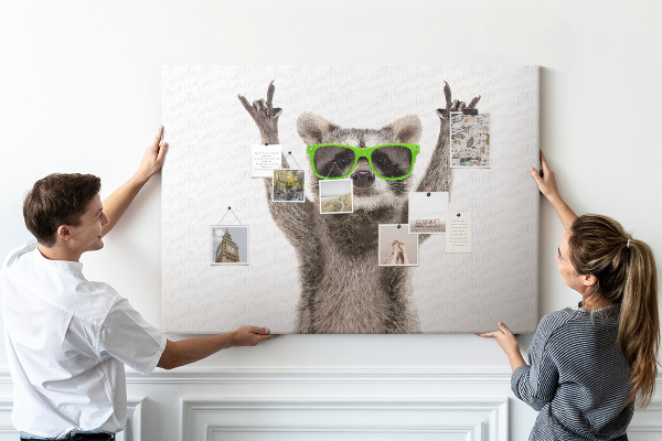 Cork memo board Raccoon wearing glasses