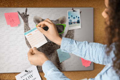 Cork memo board Raccoon wearing glasses