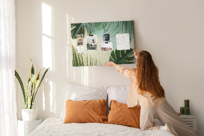 Cork display board Monstera leaves