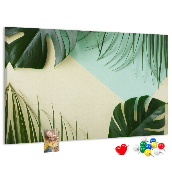 Cork display board Monstera leaves