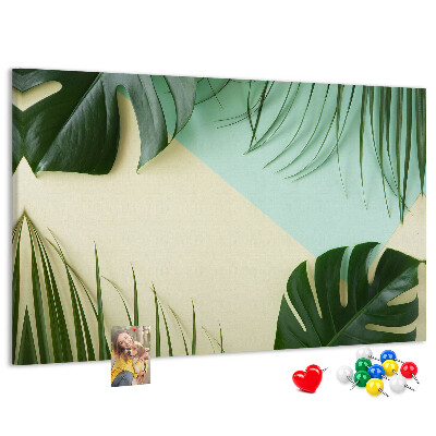 Cork display board Monstera leaves
