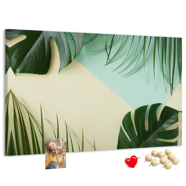 Cork display board Monstera leaves