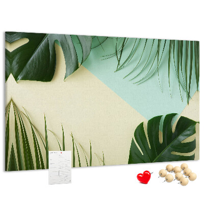 Cork display board Monstera leaves