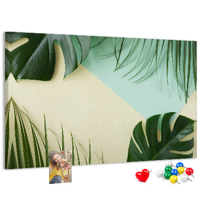 Cork display board Monstera leaves