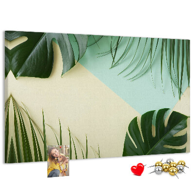 Cork display board Monstera leaves