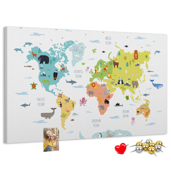 Cork board Animal world map