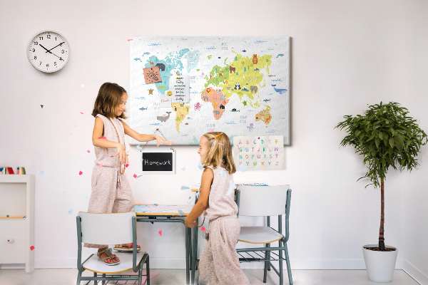 Cork board Animal world map