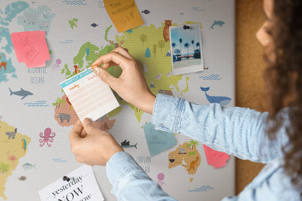 Cork board Animal world map