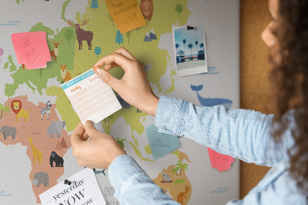 Cork board Animal world map