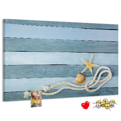 Cork board Boards stripes seashell