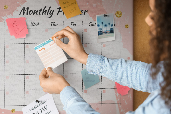 Cork display board Monthly planner