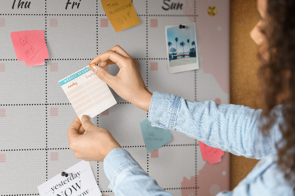 Cork display board Monthly planner