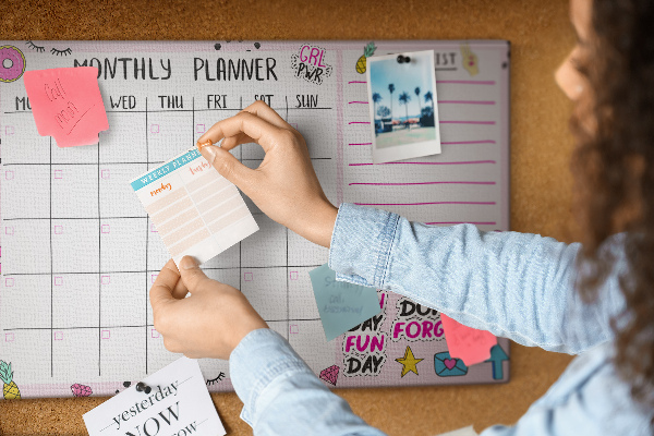 Cork display board Monthly planner