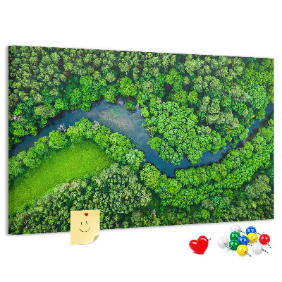 Cork memo board River in the forest